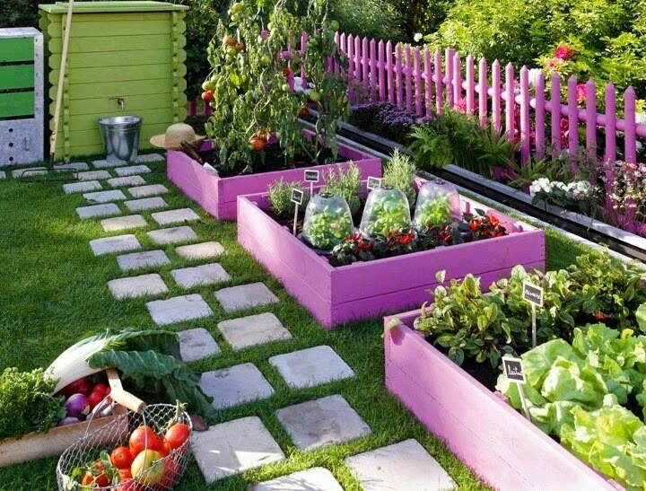 palette potager